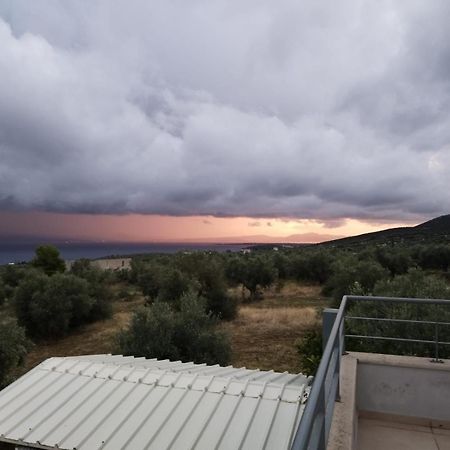 Panoramic View Summerhouse Loukissia ภายนอก รูปภาพ