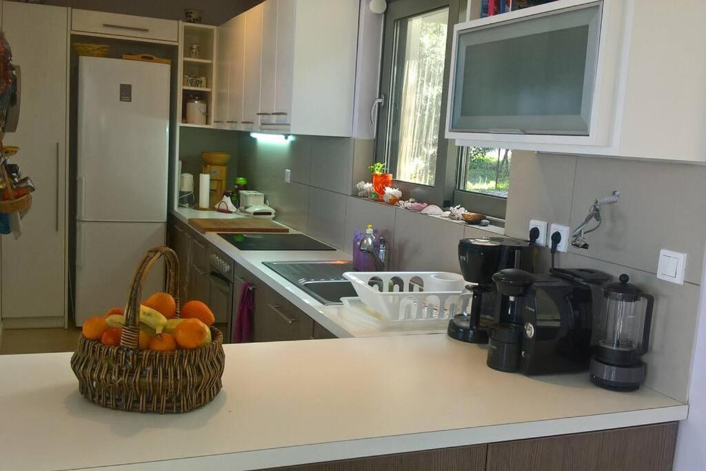 Panoramic View Summerhouse Loukissia ภายนอก รูปภาพ